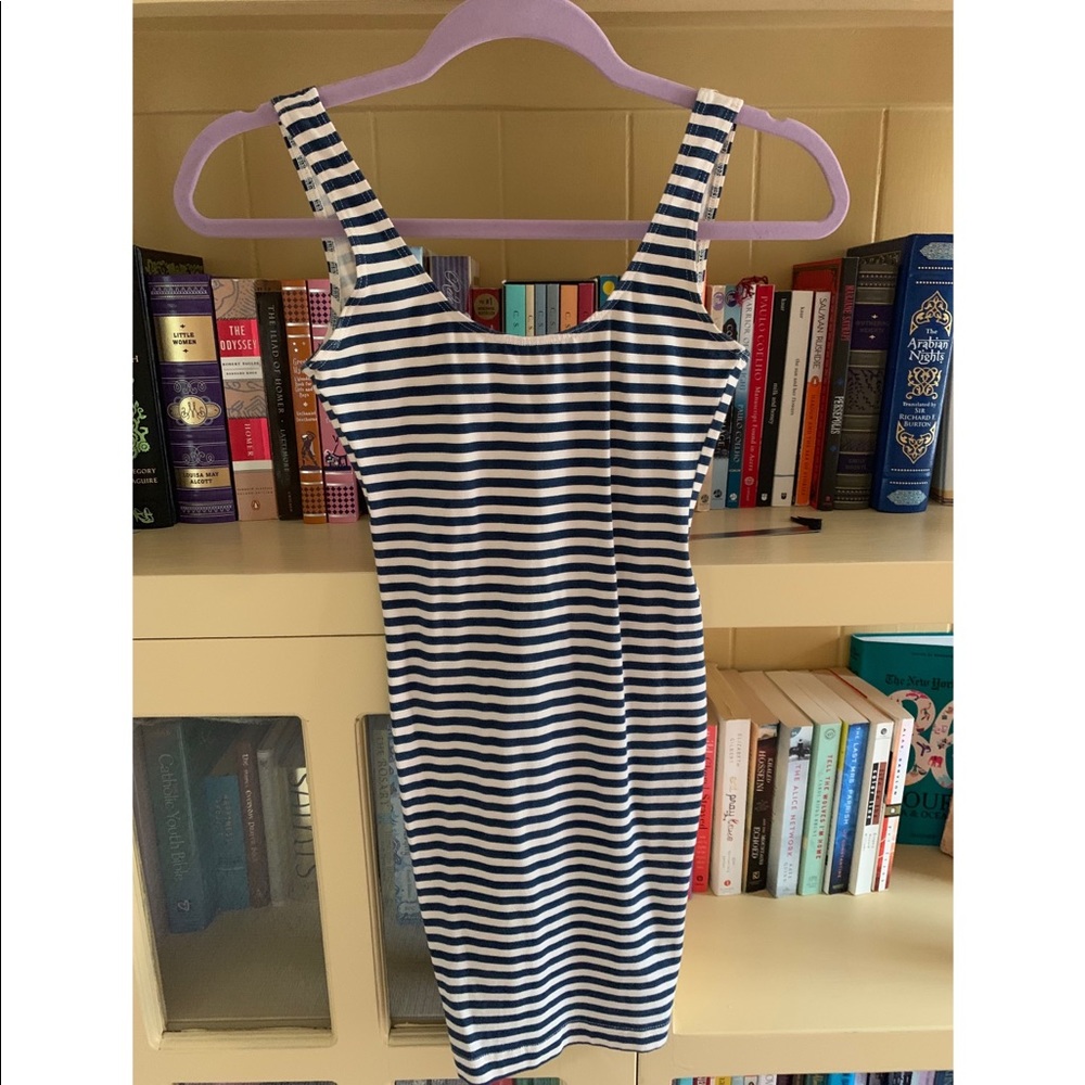 American Apparel Fitted Dress